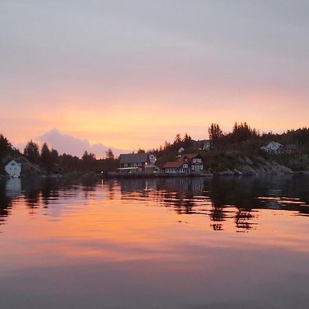 Gorgeous Home In Bekkjarvik With Wifi 외부 사진